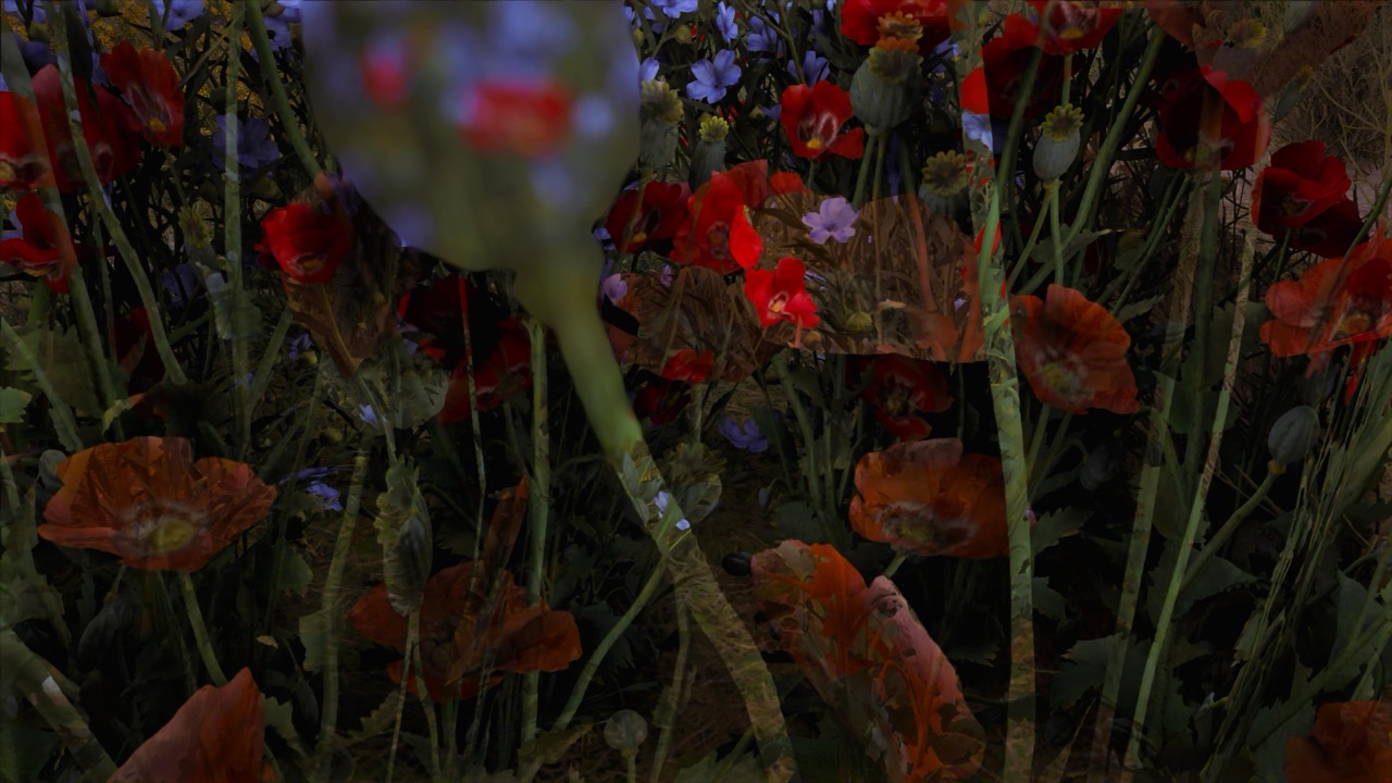 Studies on Breaking Immersion